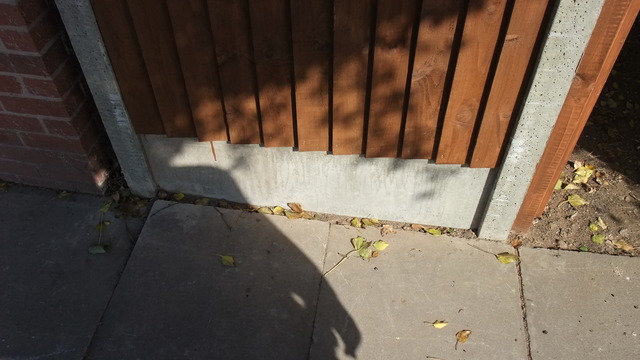 dscf8682.jpg
